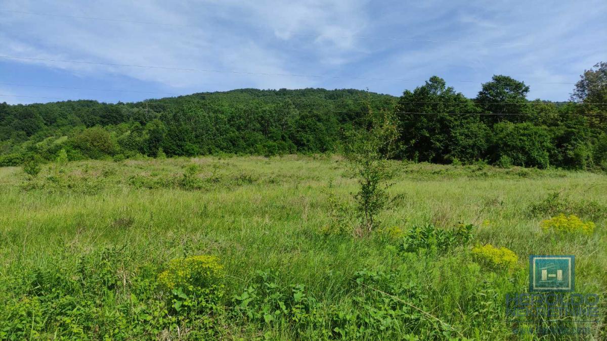 U ponudi velika parcela u turističkoj zoni Resave-Despotovac 8