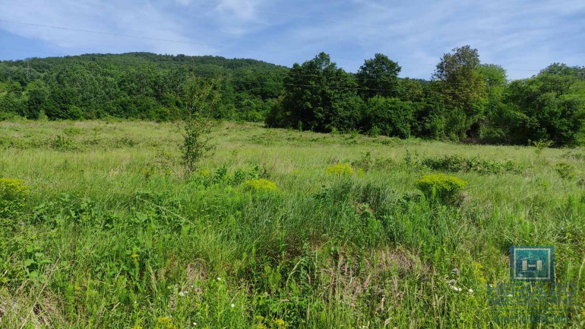 U ponudi velika parcela u turističkoj zoni Resave-Despotovac 9