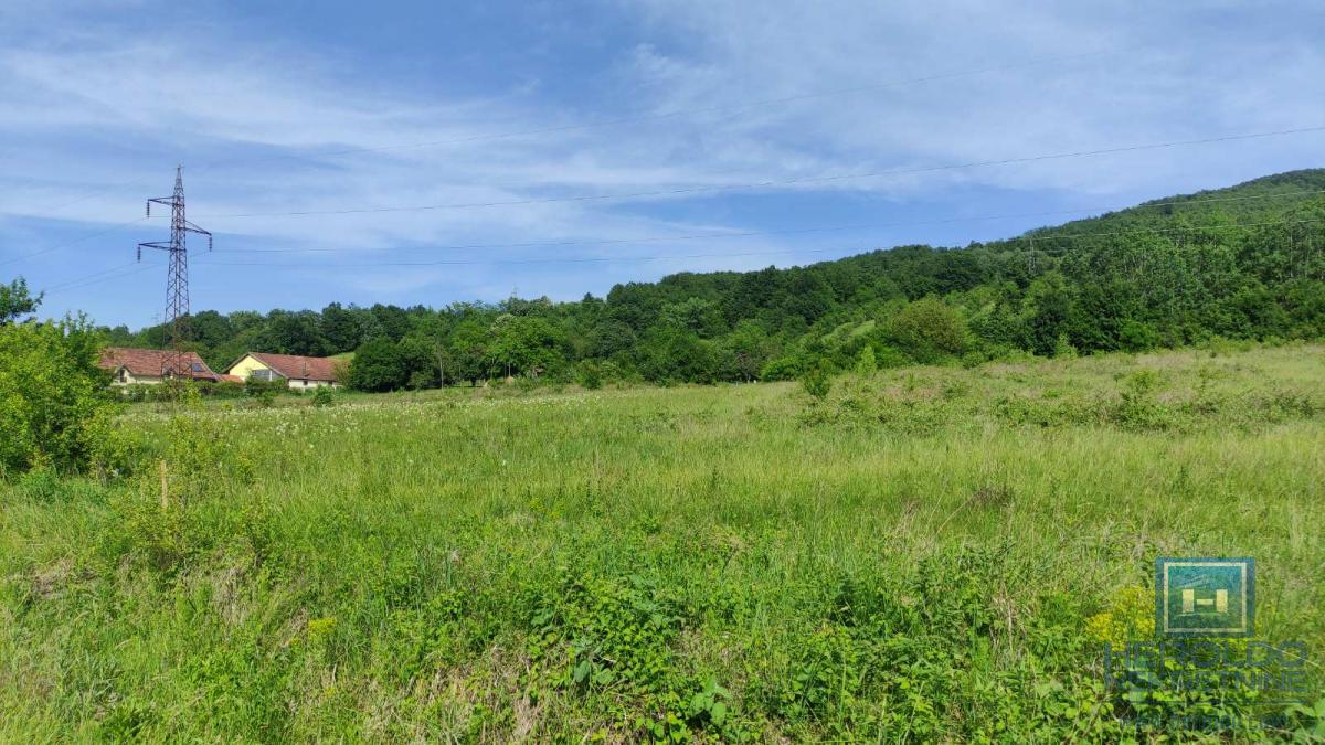 U ponudi velika parcela u turističkoj zoni Resave-Despotovac 2