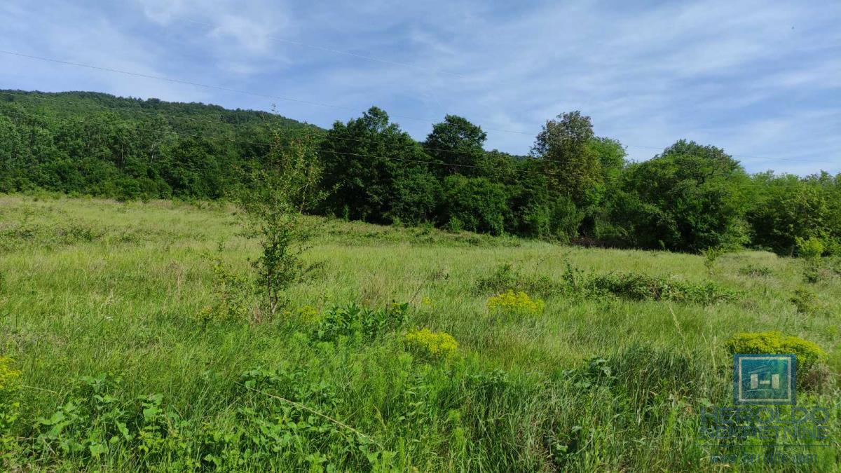 U ponudi velika parcela u turističkoj zoni Resave-Despotovac 3