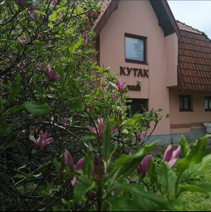 Otkrijte mali raj u Vrnjačkoj Banji  Apartmani Kutak Nešić 2