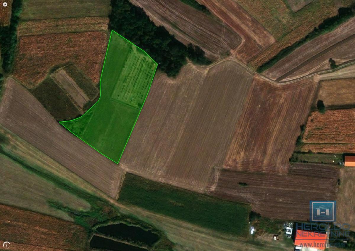 Na prodaju poljoprivredno zemljište sa vinogradom 2