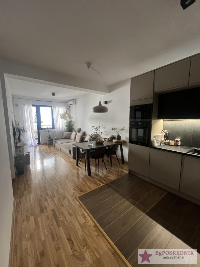 Vračar, Južni bulevar, Šumatovačka, 57m2 6