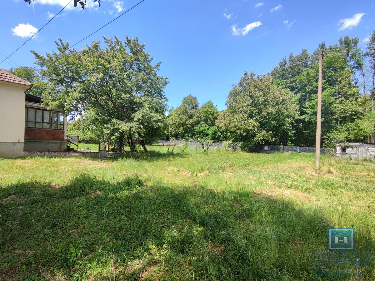 Prelepa parcela od 70 ari sa objektom u selu Lovci 6