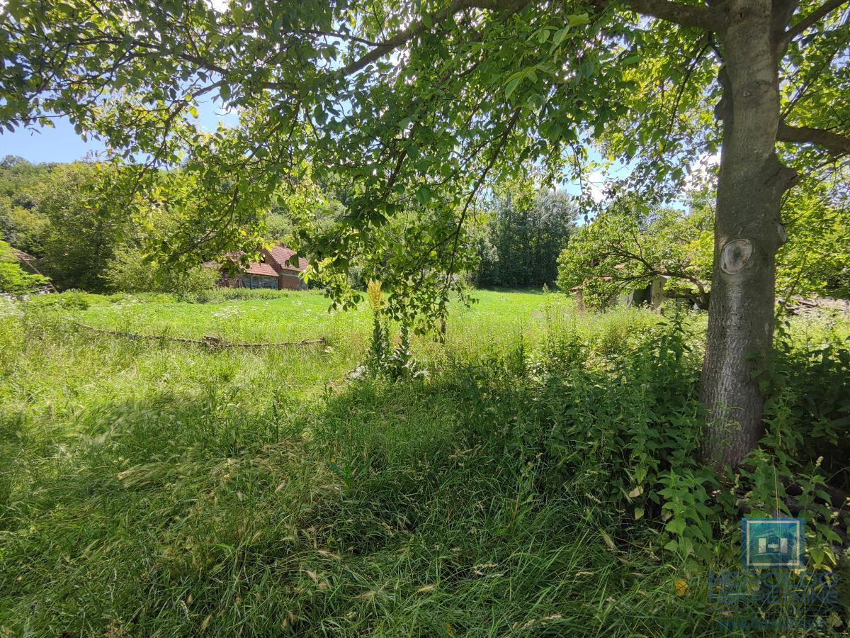 Prelepa parcela od 70 ari sa objektom u selu Lovci 31