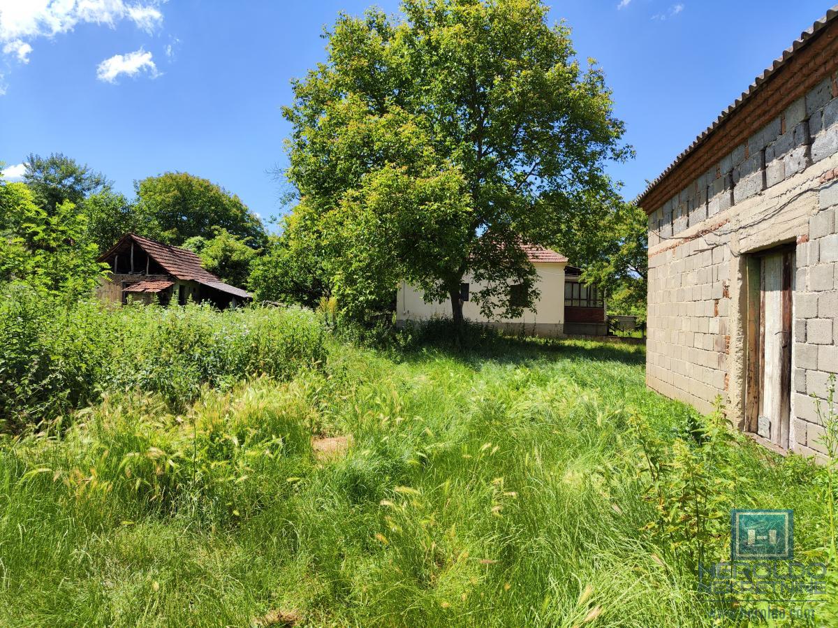 Prelepa parcela od 70 ari sa objektom u selu Lovci 27