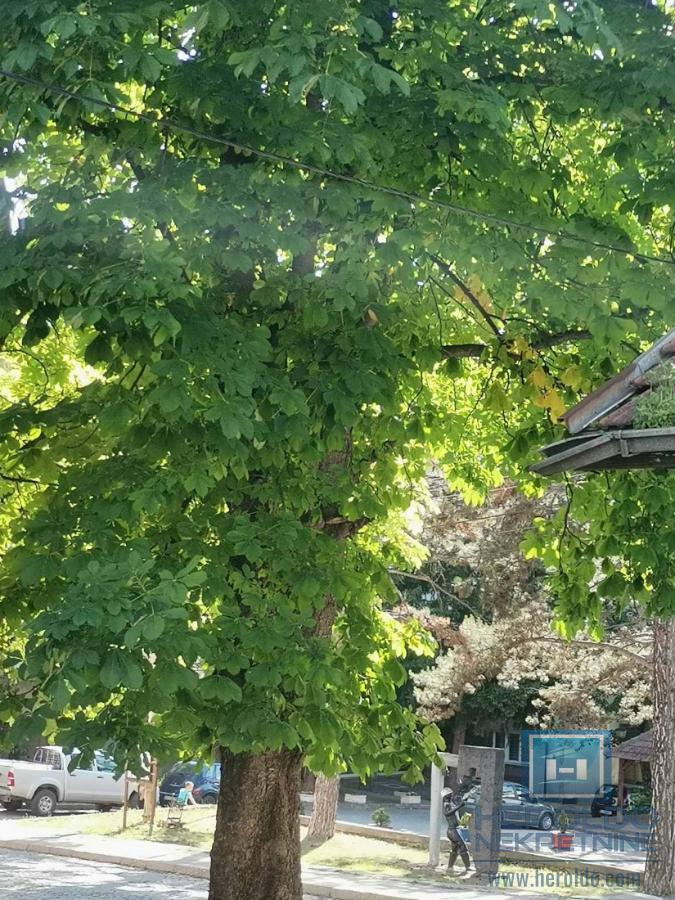 Stan u strogom centru Resavice 4