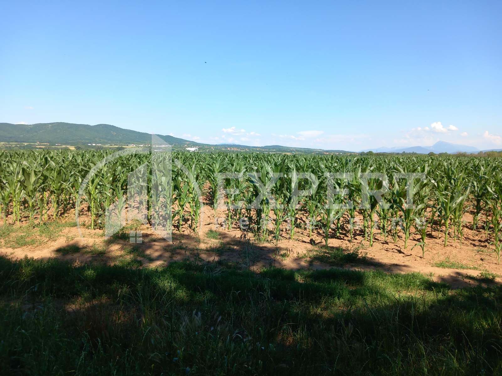 Plac, Vrtište, Vrtište ID: p-011715 1