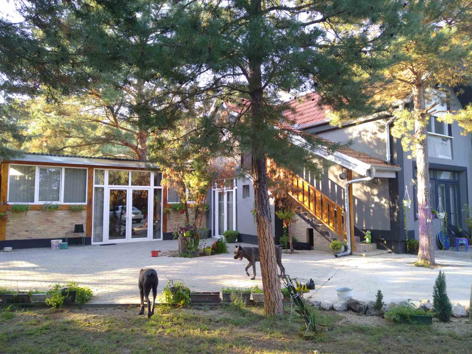 Kuca sa placem Deliblatska pescara 1