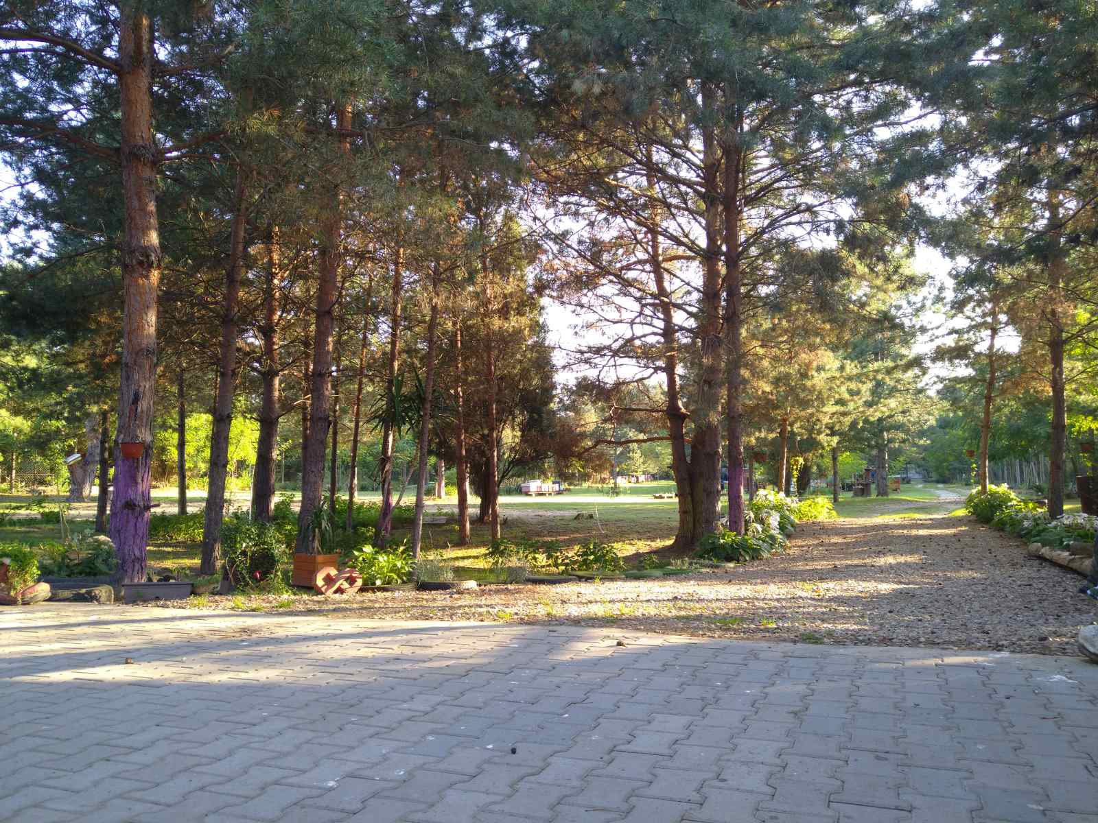 Kuca sa placem Deliblatska pescara 5