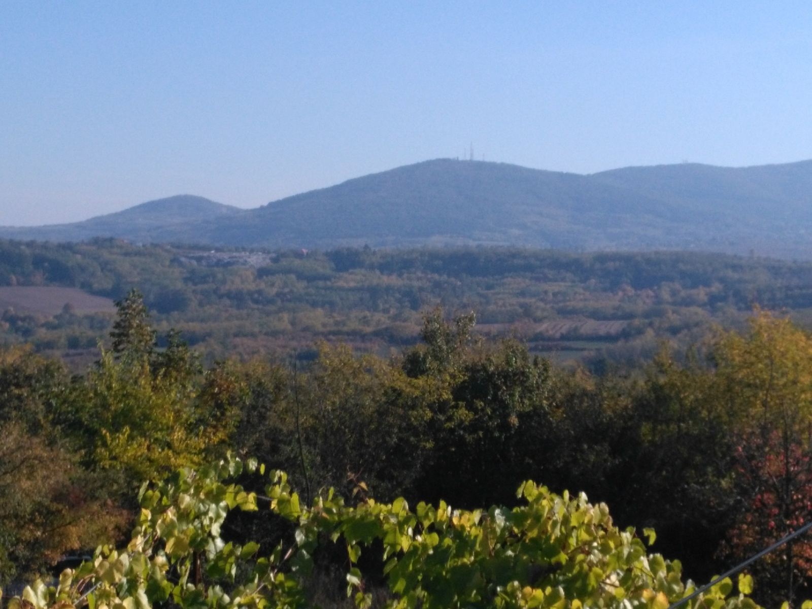 Na prodaju plac  suma  Sopot 1