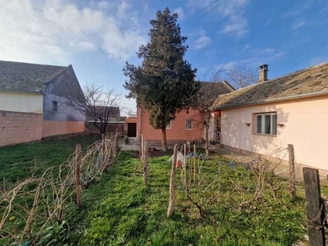 Kuca blizu Beograda 2