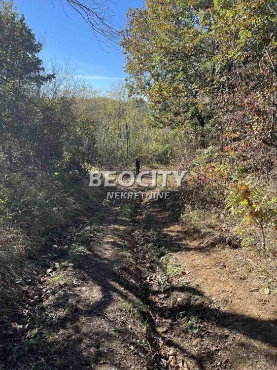 Plac, Barajevo, Vucinac ID: 110821 3