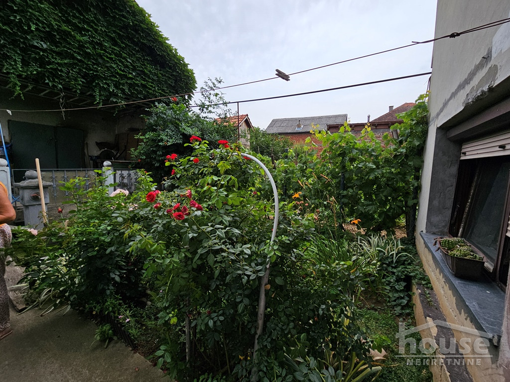 Kuca,BUKOVAC,CENTAR424m2,247200€ , ID: 3046253 41