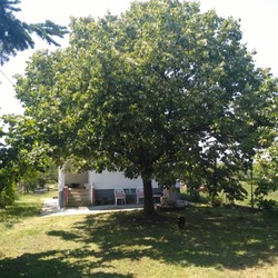 Kuca na prodaju Prokuplje Mala Plana 2