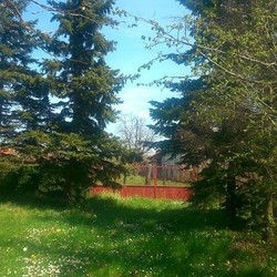 Kuca na prodaju Prokuplje Mala Plana 5