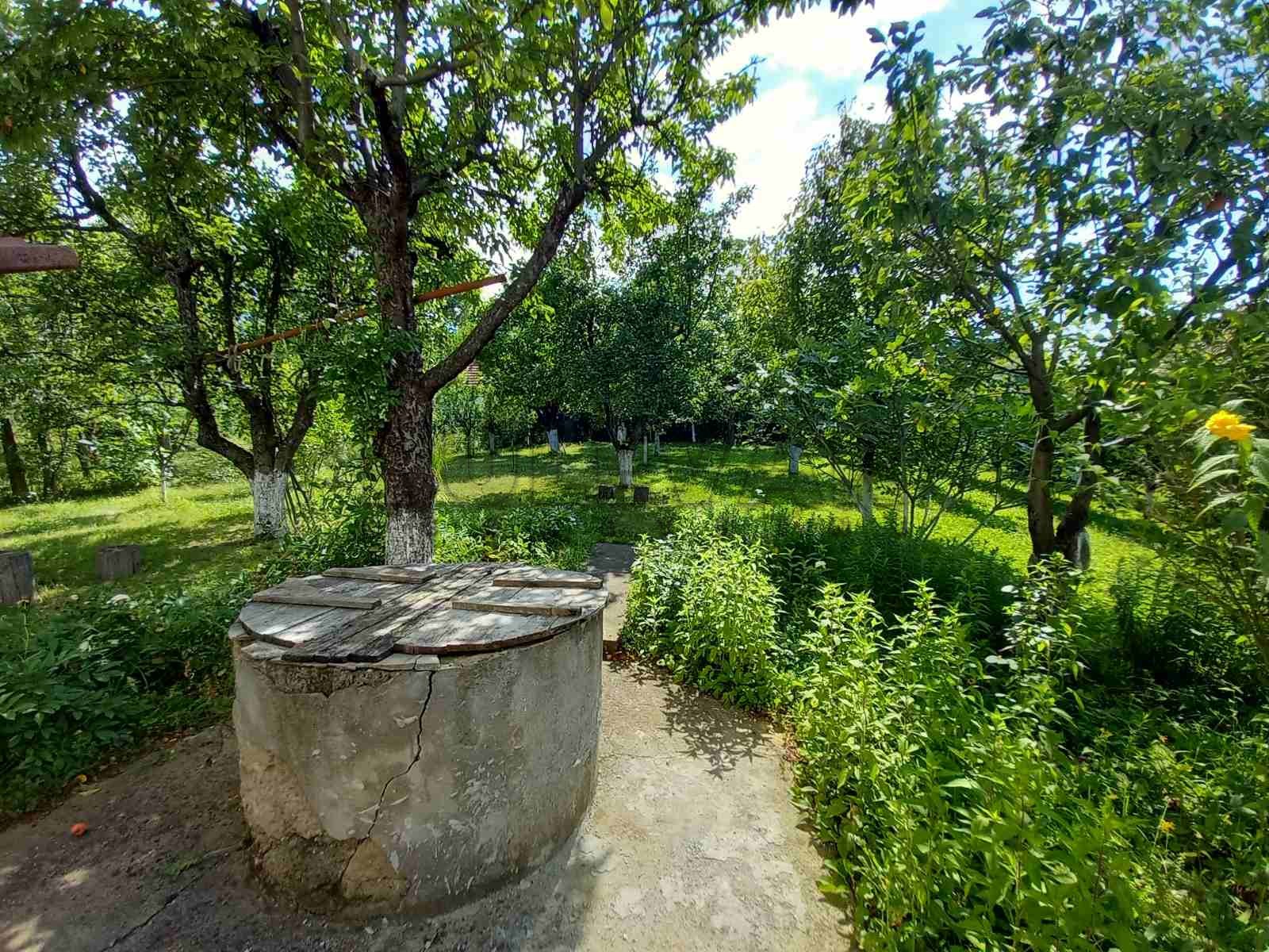 četvorosobna kuća, 235 m2, Palilula, Babičkog odreda ID: p-011896 21