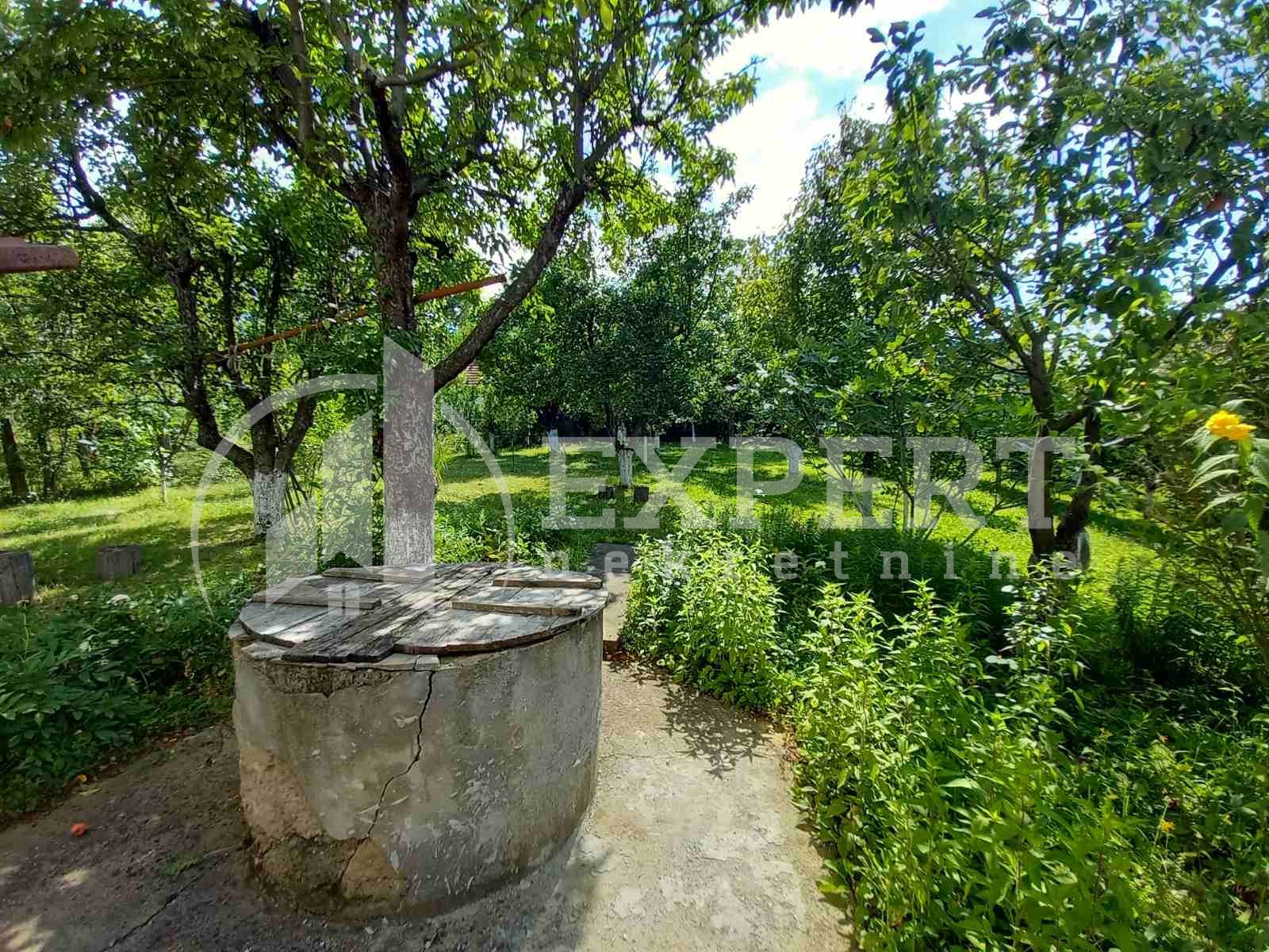 četvorosobna kuća, 235 m2, Palilula, Babičkog odreda ID: p-011896 21