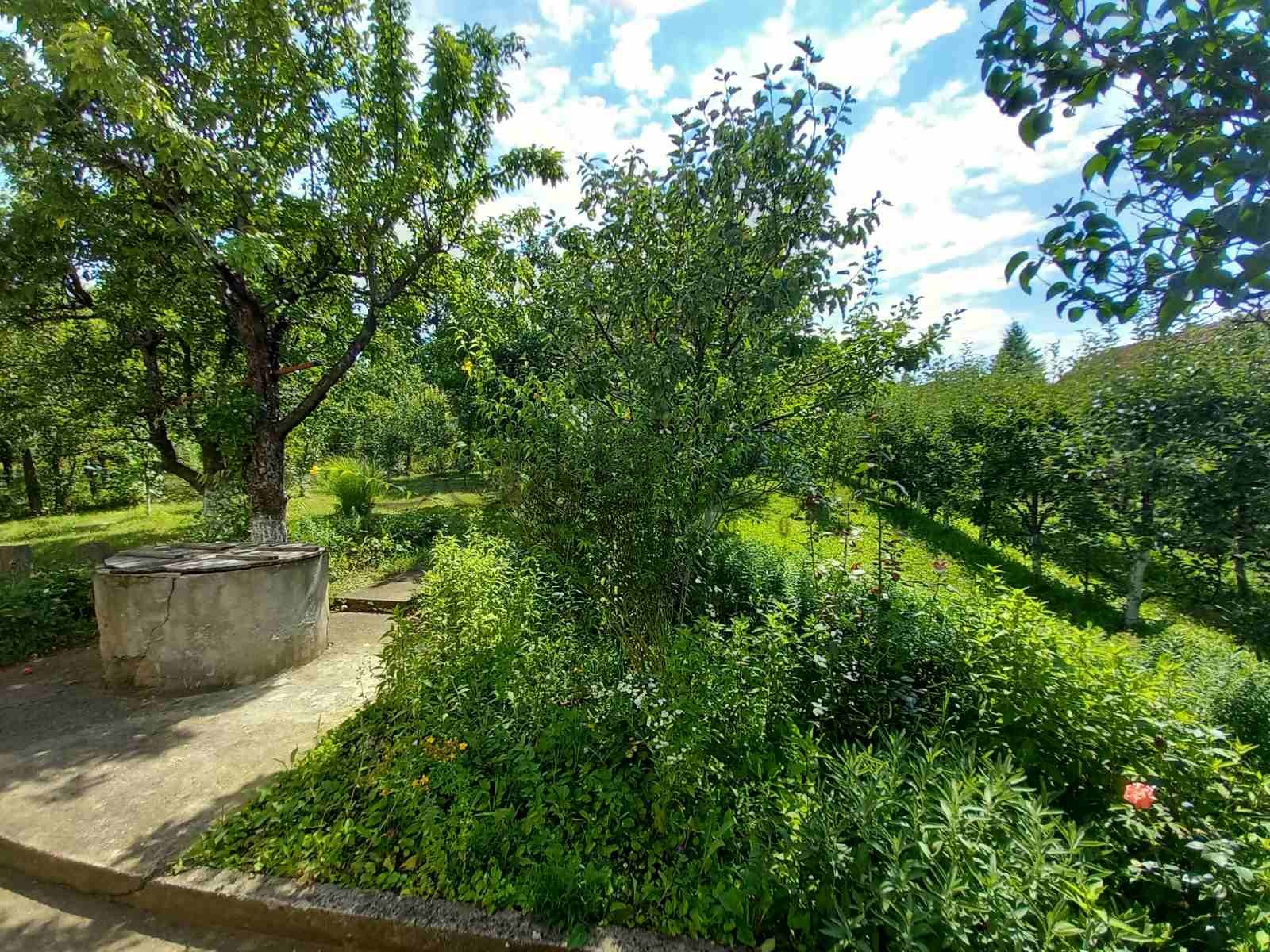 četvorosobna kuća, 235 m2, Palilula, Babičkog odreda ID: p-011896 13