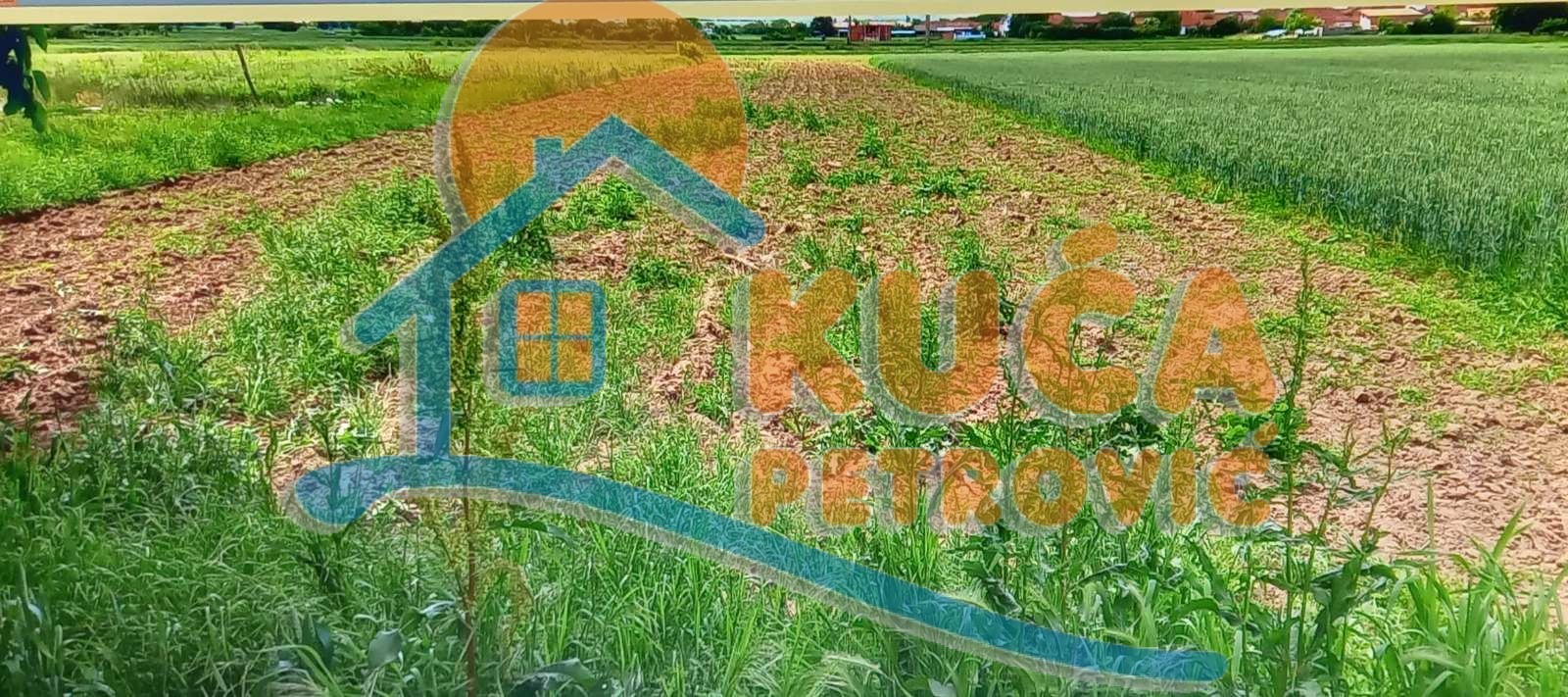 Plac, Njegoševa ID: p-011887 1