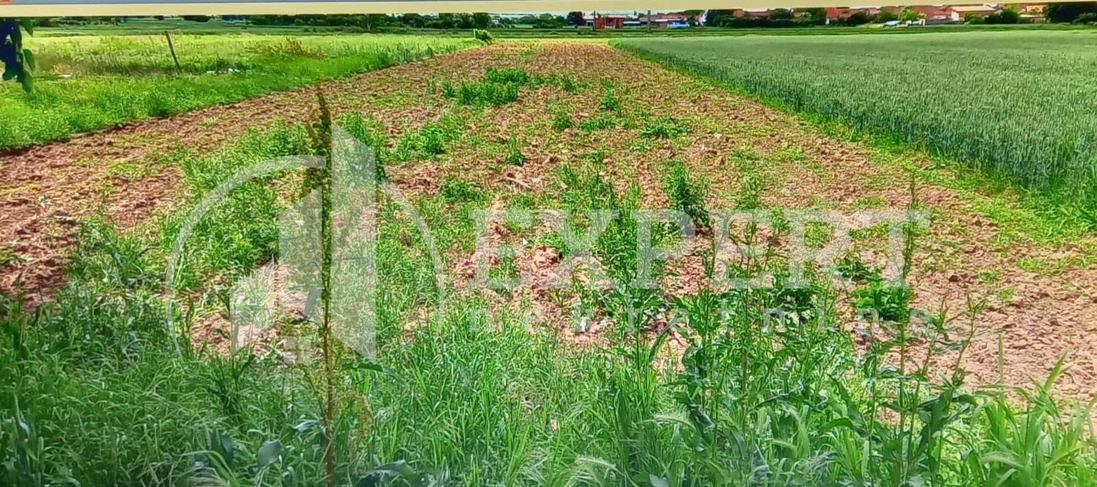 Plac, Njegoševa ID: p-011887 1