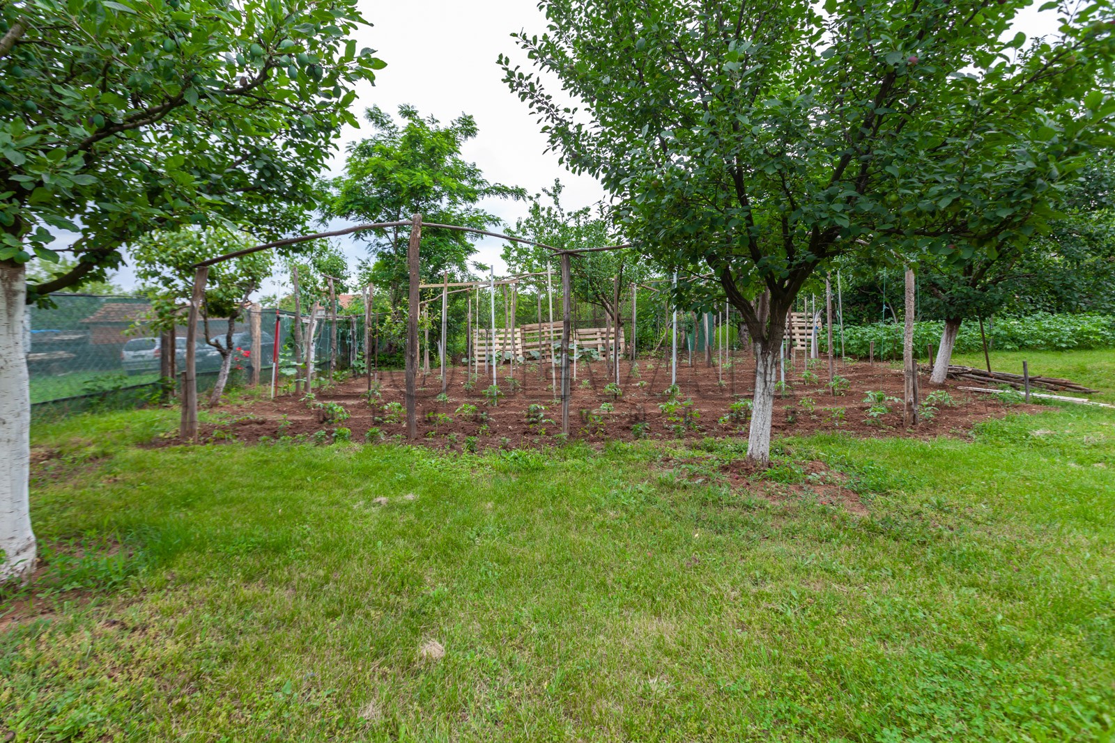 četvorosobna kuća, 360 m2, Palilula, Pasi poljana ID: p-011931 25