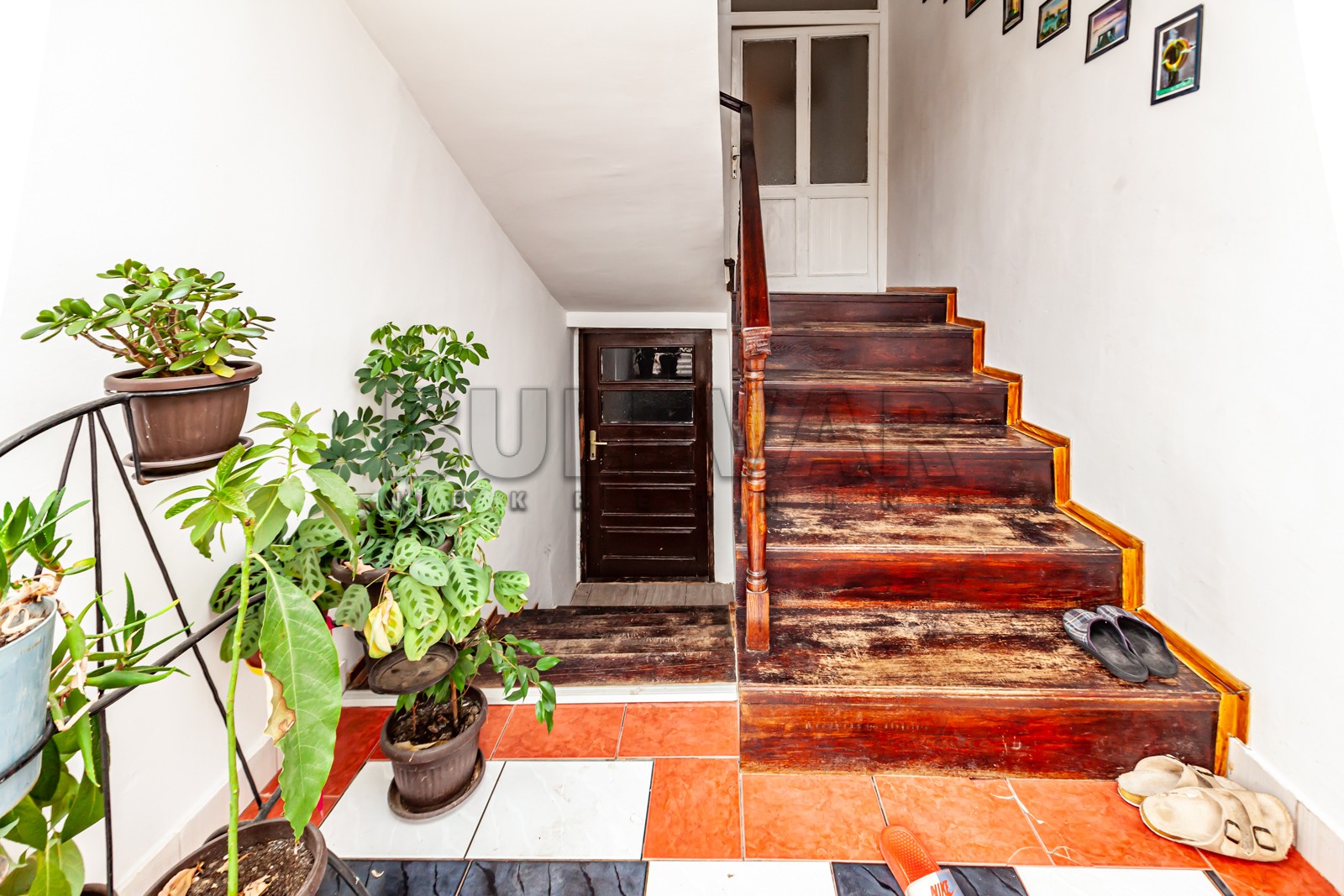 četvorosobna kuća, 360 m2, Palilula, Pasi poljana ID: p-011931 31