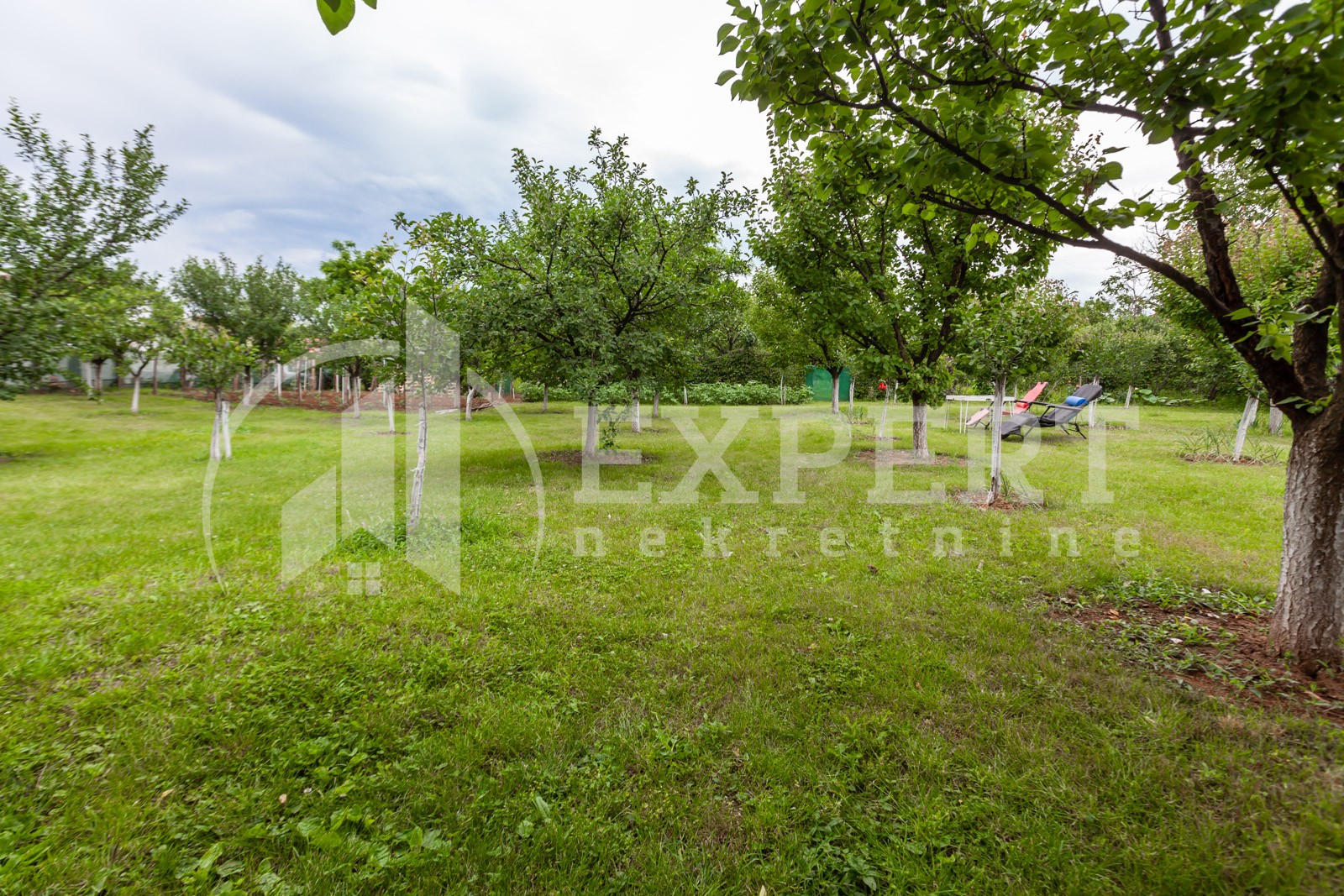 četvorosobna kuća, 360 m2, Palilula, Pasi poljana ID: p-011931 24