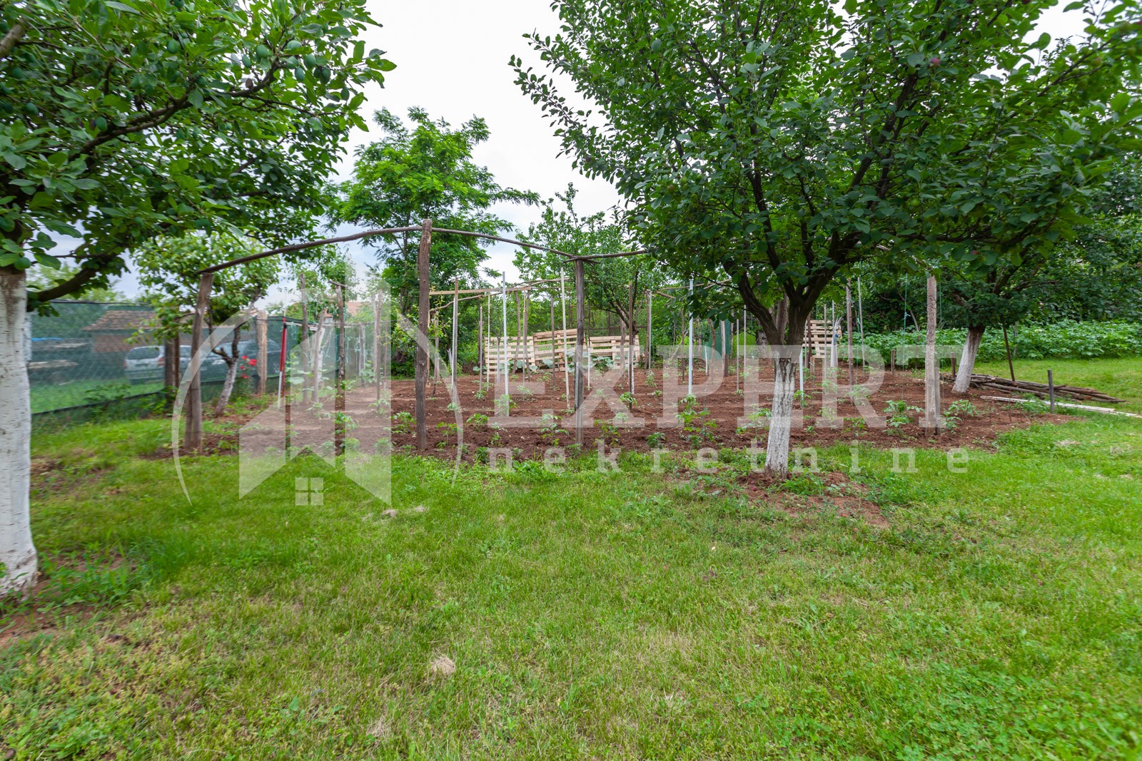 četvorosobna kuća, 360 m2, Palilula, Pasi poljana ID: p-011931 25