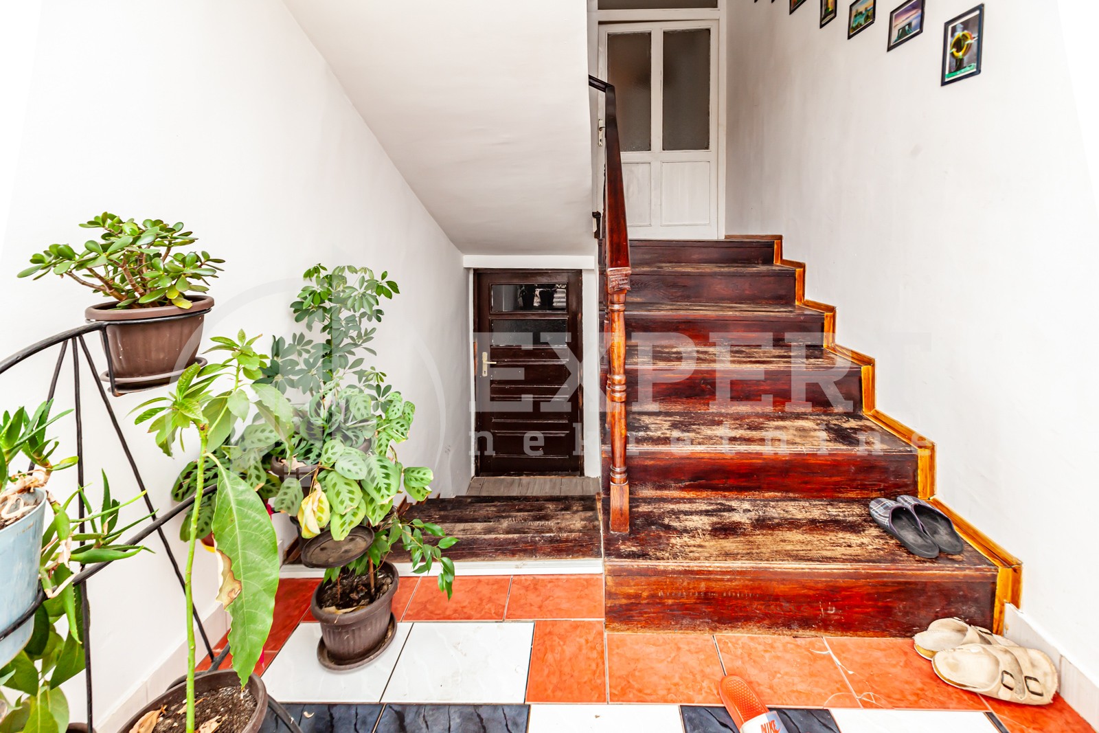 četvorosobna kuća, 360 m2, Palilula, Pasi poljana ID: p-011931 31