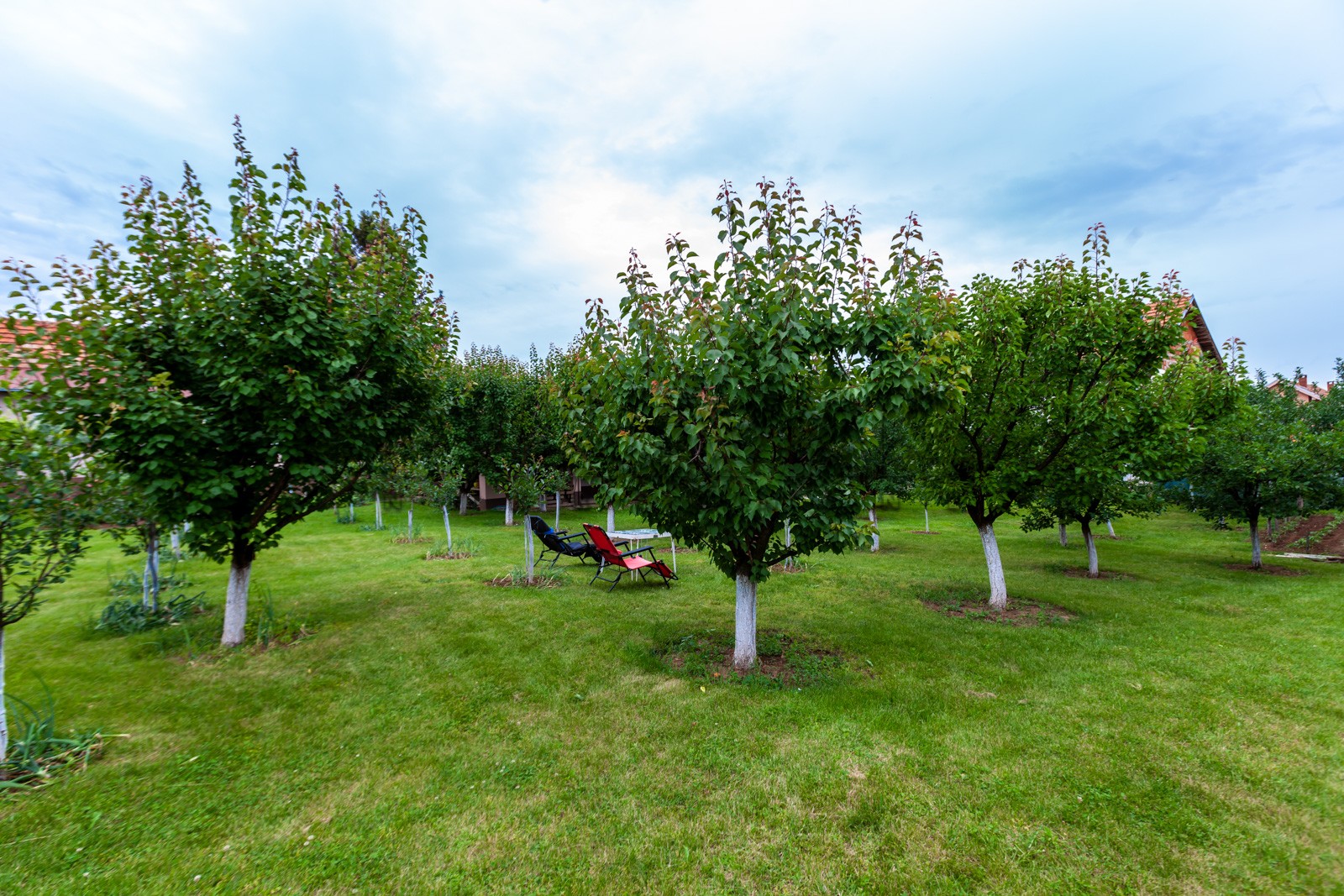 četvorosobna kuća, 360 m2, Palilula, Pasi poljana ID: p-011931 35