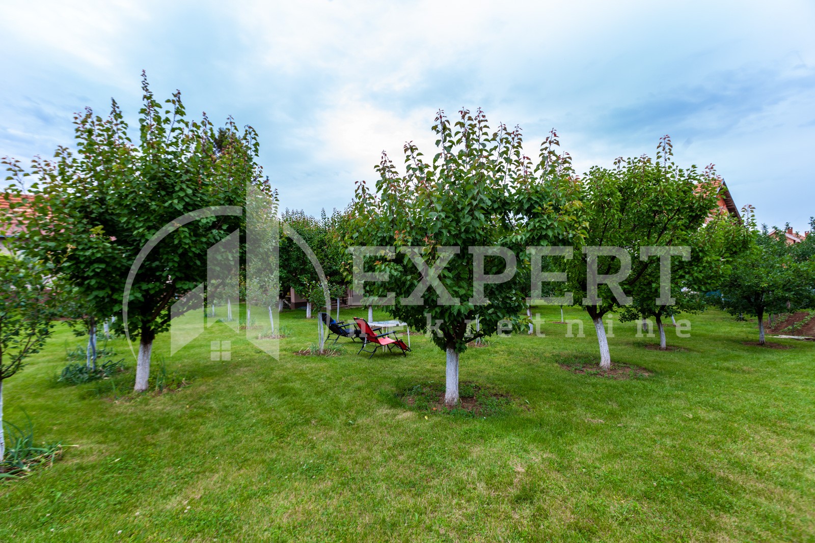 četvorosobna kuća, 360 m2, Palilula, Pasi poljana ID: p-011931 35