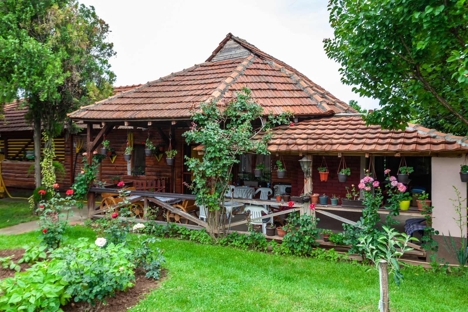 četvorosobna kuća, 360 m2, Palilula, Pasi poljana ID: p-011931 17