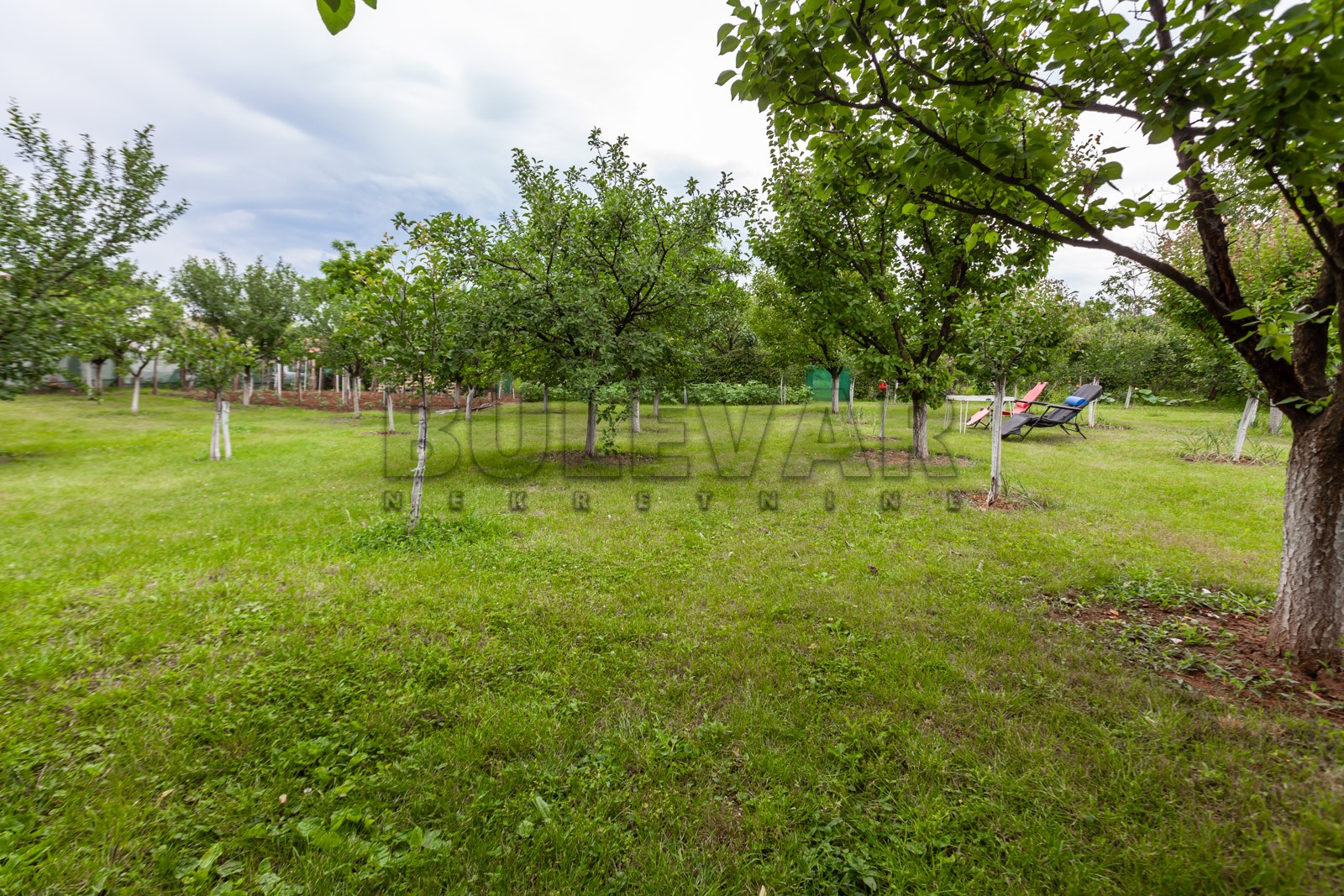 četvorosobna kuća, 360 m2, Palilula, Pasi poljana ID: p-011931 24