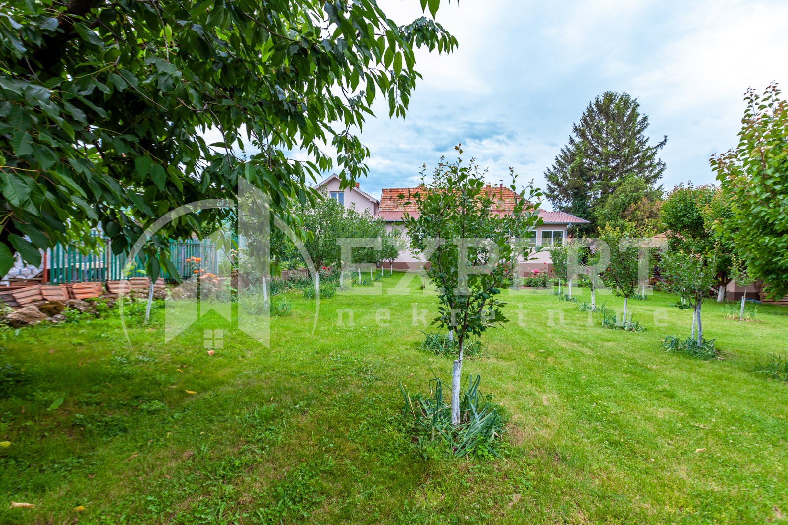 četvorosobna kuća, 360 m2, Palilula, Pasi poljana ID: p-011931 16