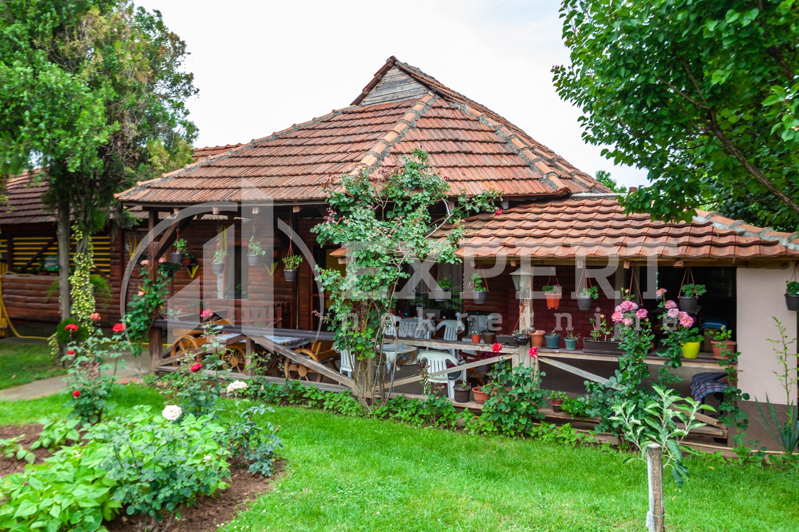 četvorosobna kuća, 360 m2, Palilula, Pasi poljana ID: p-011931 17