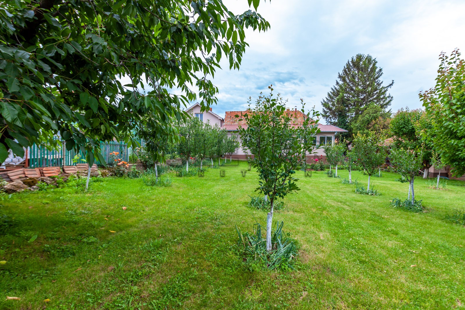 četvorosobna kuća, 360 m2, Palilula, Pasi poljana ID: p-011931 16