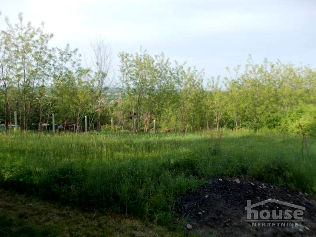 Kuca,VELIKA REMETA,FRUŠKA GORA364m2,103000€ , ID: 3046293 3