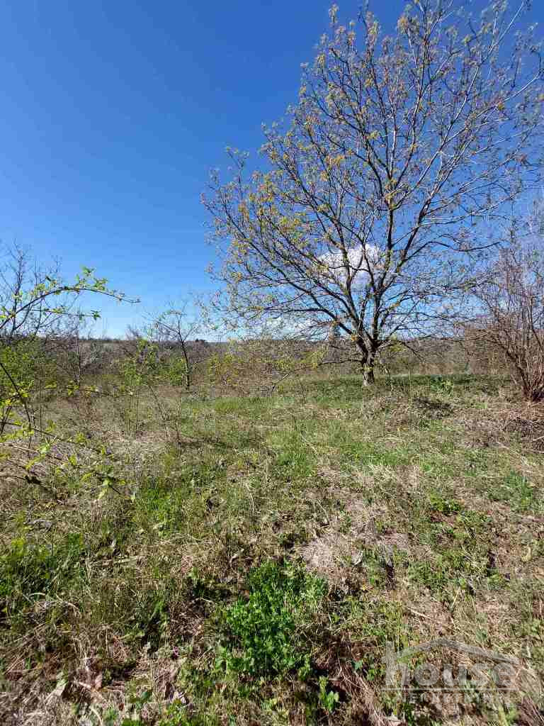 Kuca,VELIKA REMETA,FRUŠKA GORA364m2,103000€ , ID: 3046293 10