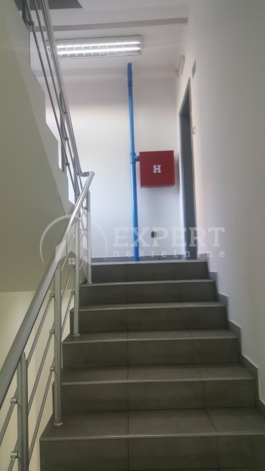 Lokal, 150 m2, Filozofski fakultet, Kralja Stefana Prvovenčanog ID: i-011938 1