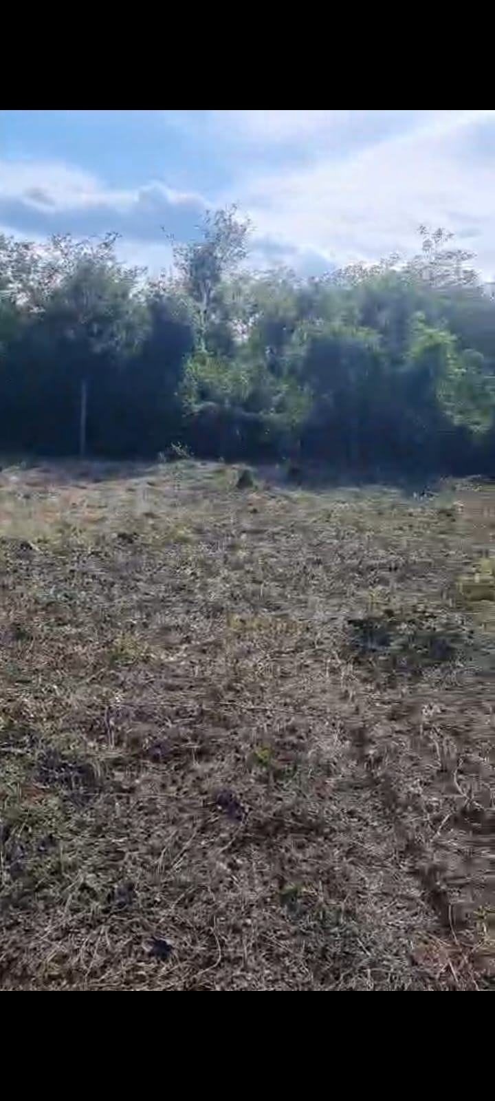 Na prodaju plac od 4 05 ara na lokaciji Požarevac put za Beograd 3