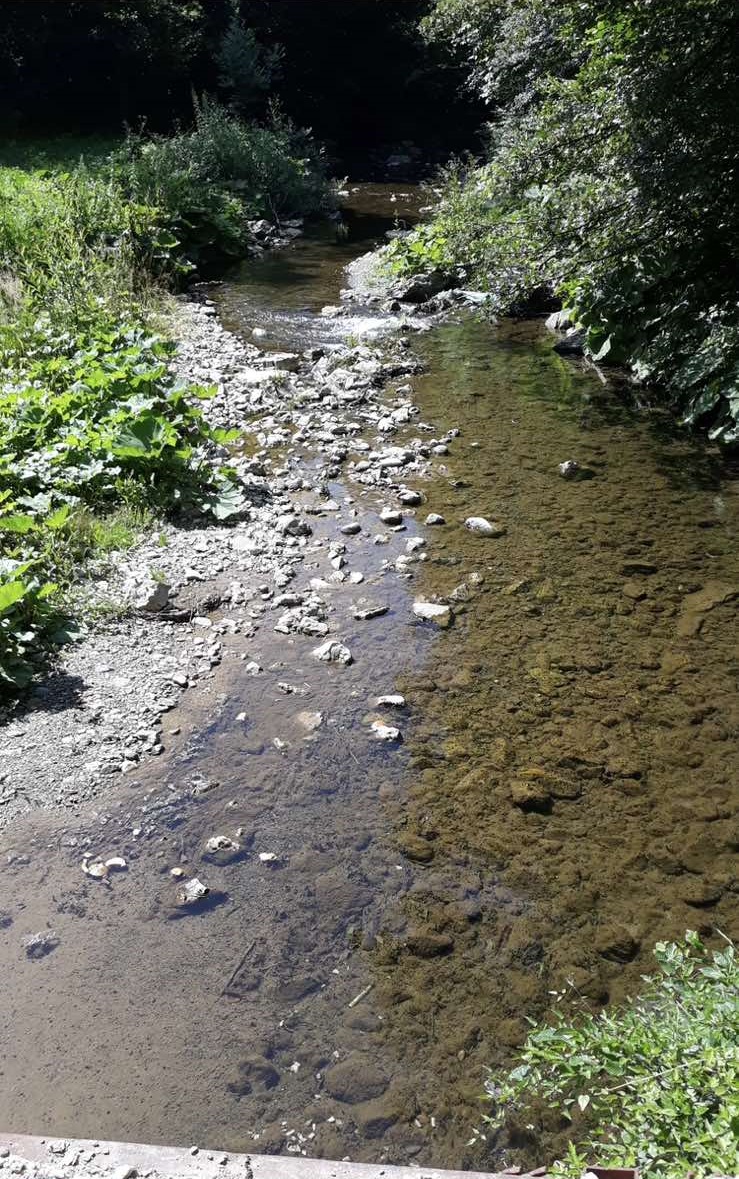 Prodajem kucu Lucani Donji Dubac 5