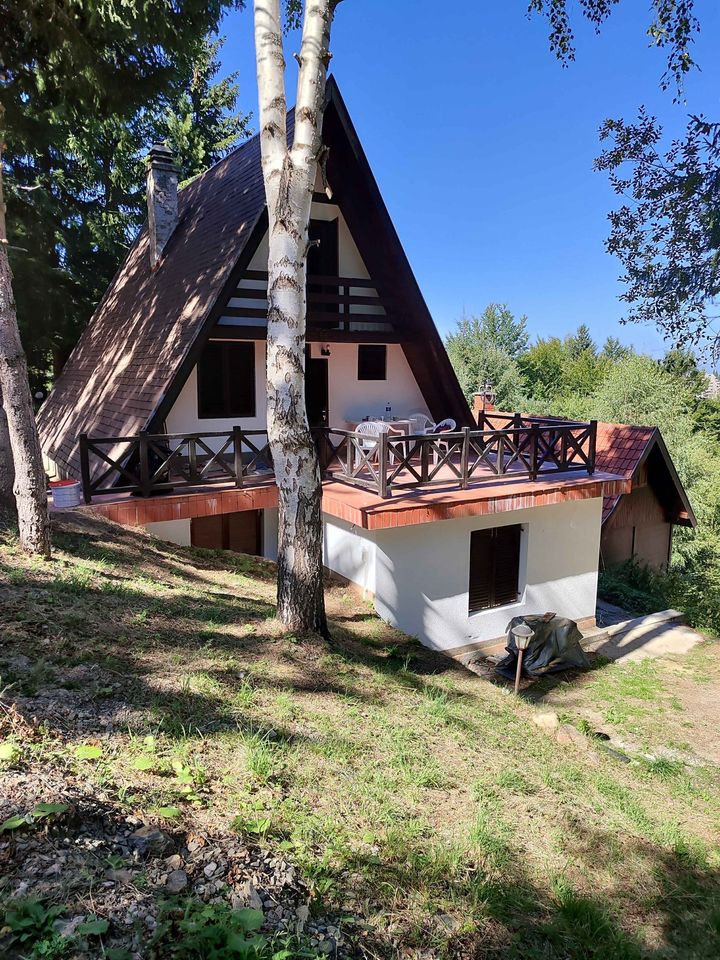 Kuca sa 3 apartmana Kopaonik 1