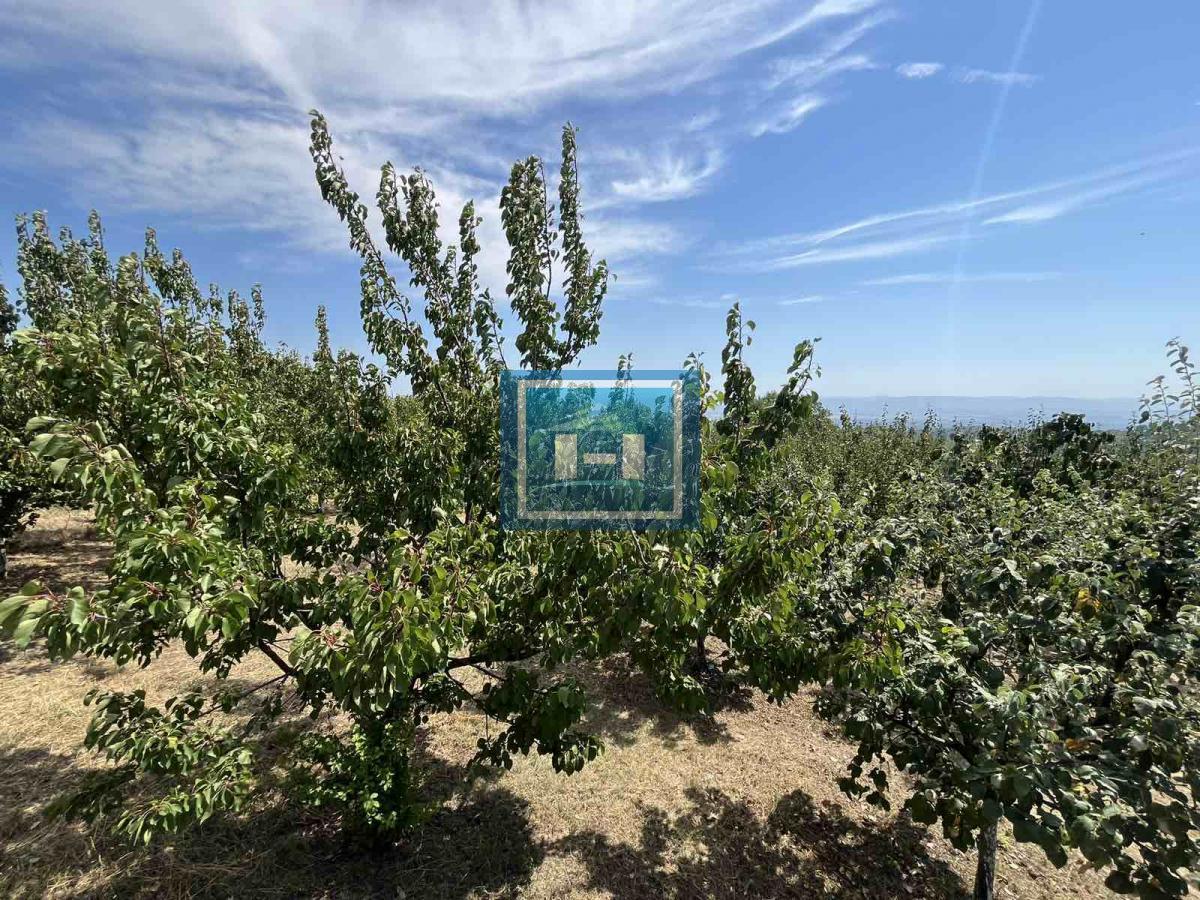 Nova vikendica na Johor planini 23