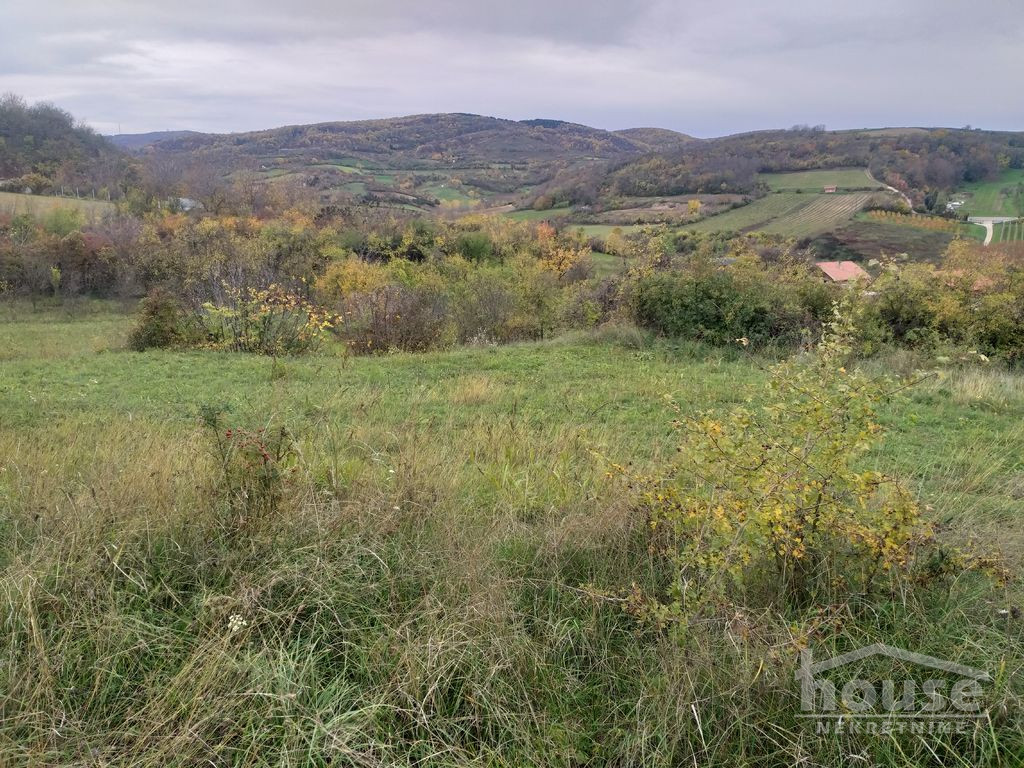 Plac,BEOČIN,CENTAR13400m2,  360000€ , ID: 7081165 3