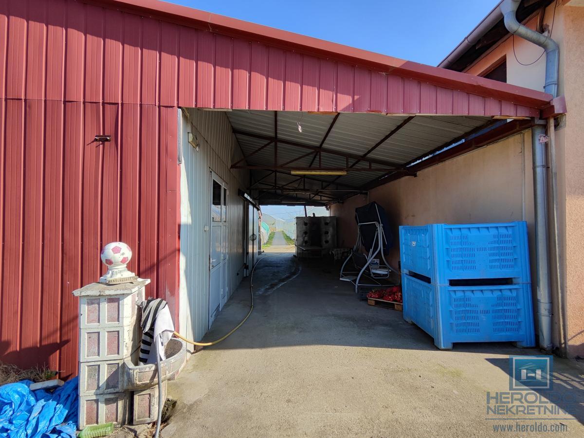 Kuća sa velikim placem 3