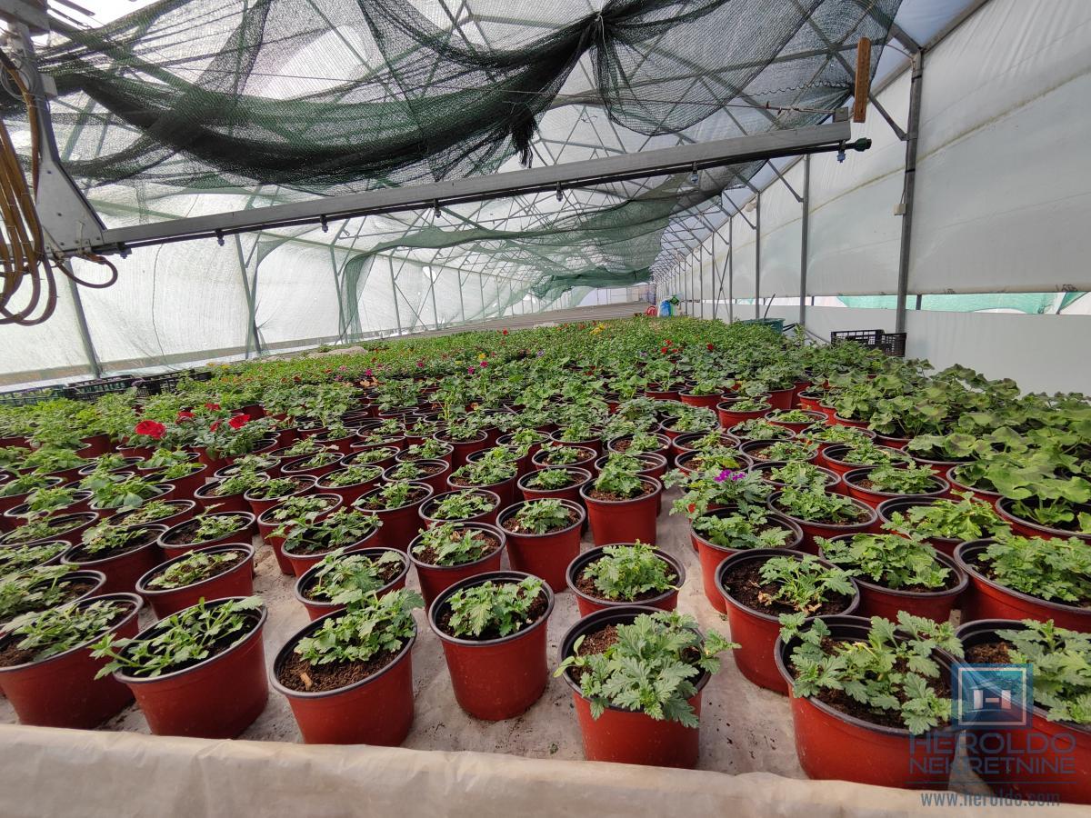 Kuća sa velikim placem 13