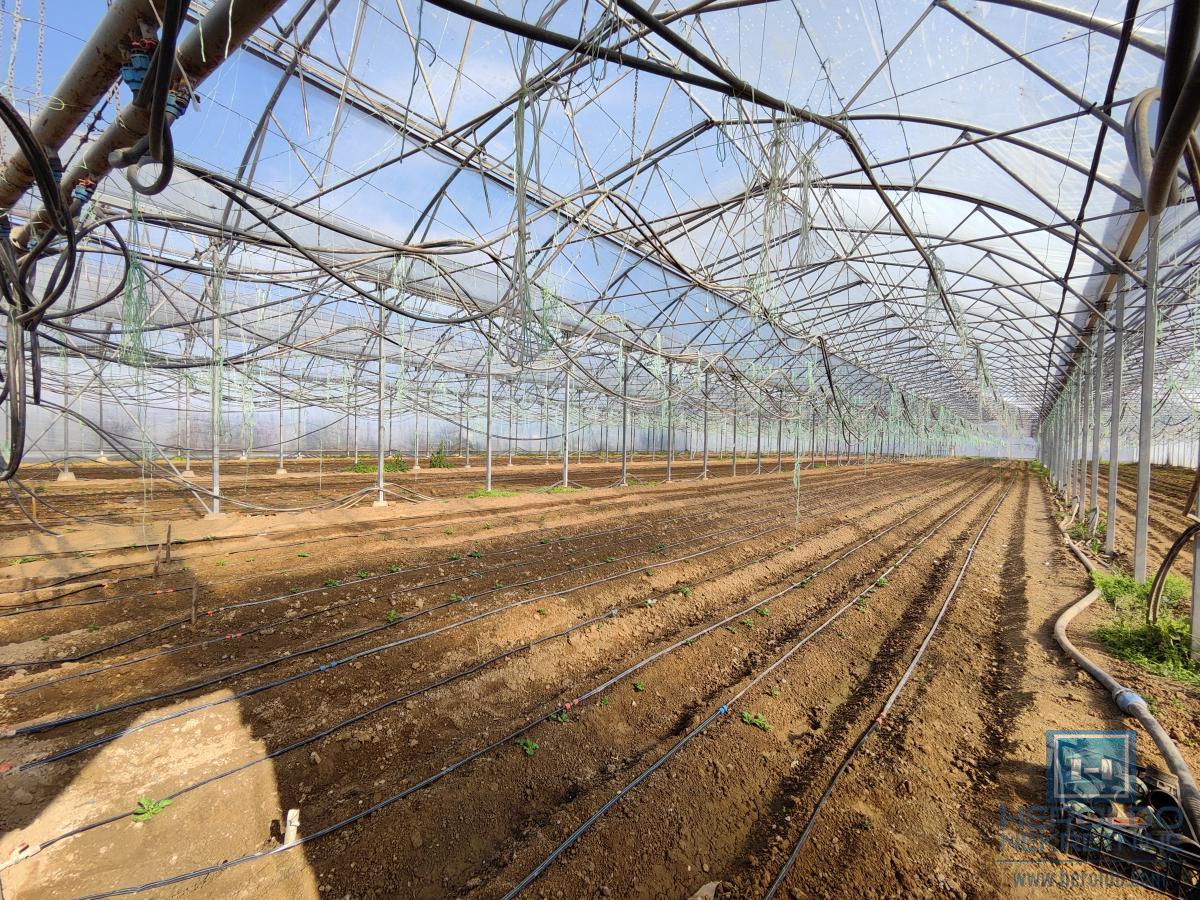 Kuća sa velikim placem 12