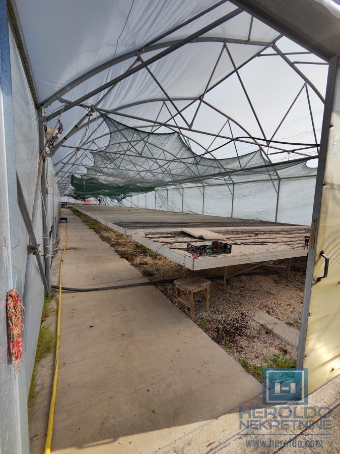 Kuća sa velikim placem 5