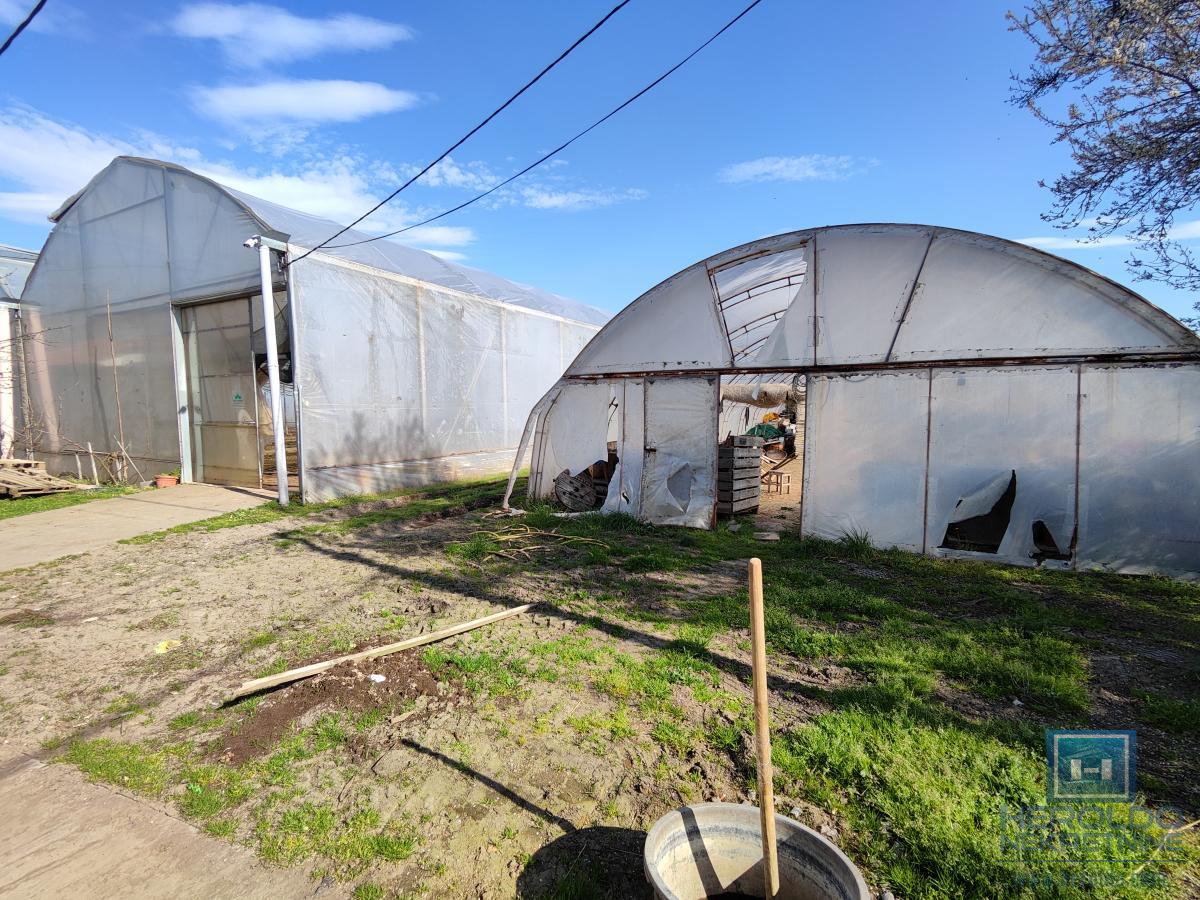 Kuća sa velikim placem 6